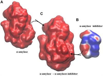 A Coarse-Grained Methodology Identifies Intrinsic Mechanisms That Dissociate Interacting Protein Pairs